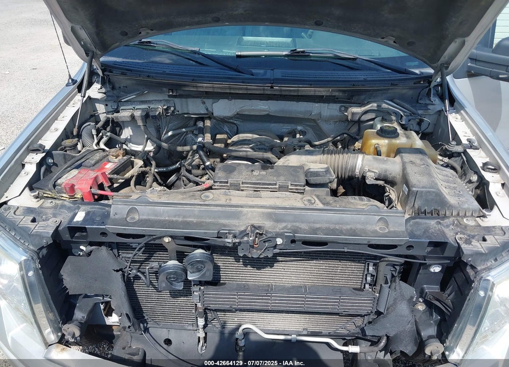 2013 FORD F-150 STX VIN: 1FTFX1EF5DKG43334