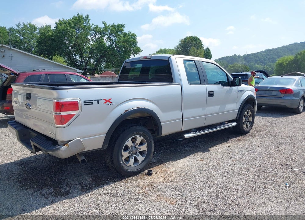 2013 FORD F-150 STX VIN: 1FTFX1EF5DKG43334