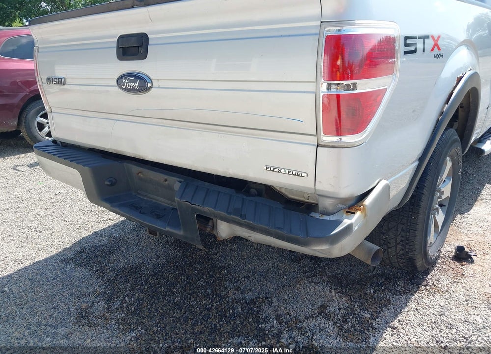2013 FORD F-150 STX VIN: 1FTFX1EF5DKG43334