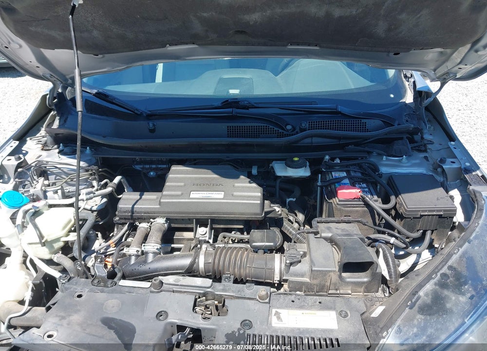 2019 HONDA CR-V VIN: 7FARW1H56KE031712