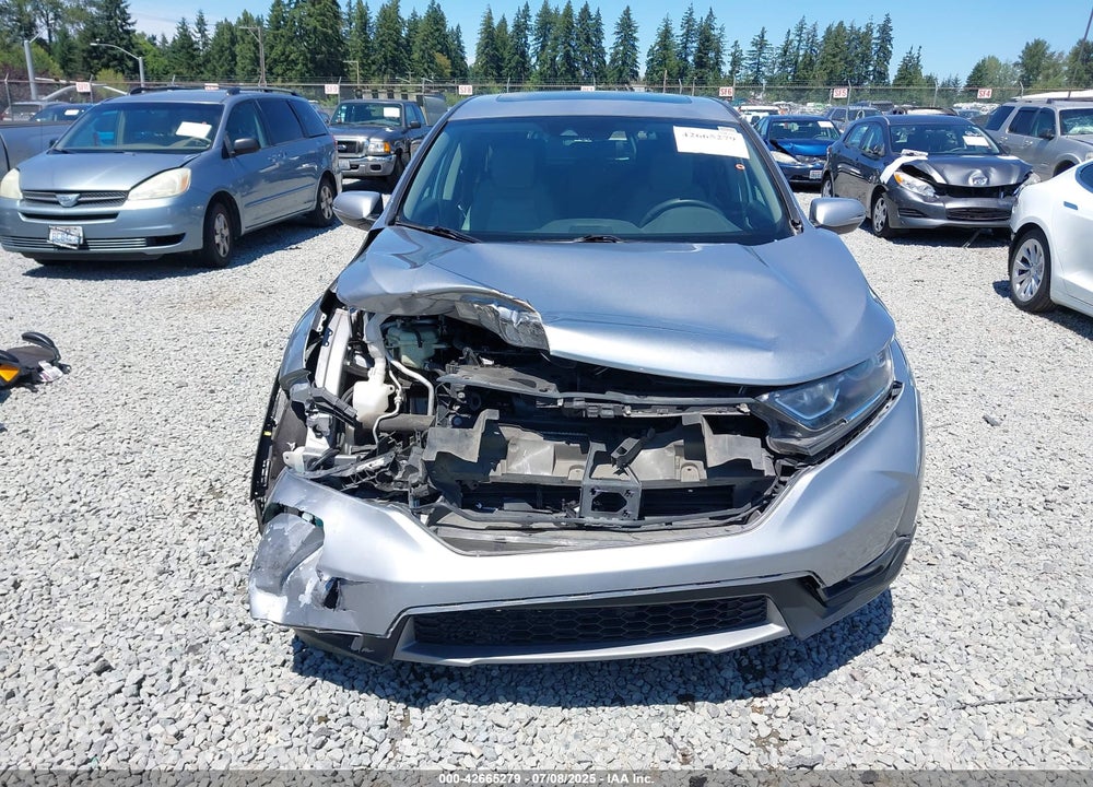 2019 HONDA CR-V VIN: 7FARW1H56KE031712