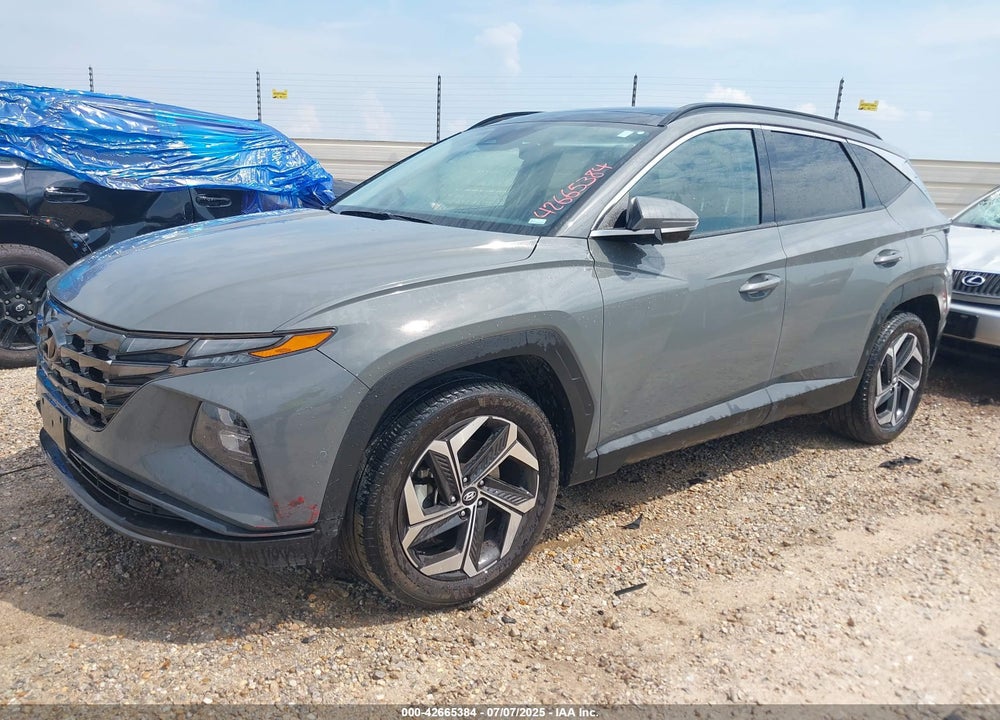 2024 HYUNDAI TUCSON VIN: 5NMJECDE7RH351739