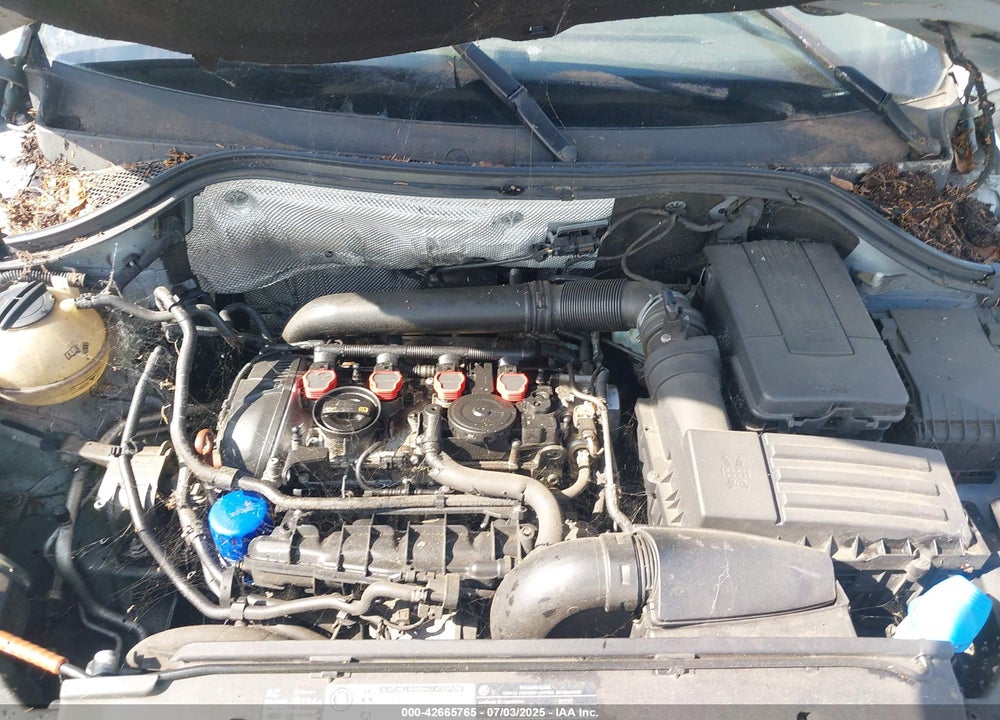 2010 VOLKSWAGEN TIGUAN VIN: WVGAV7AX5AW001651