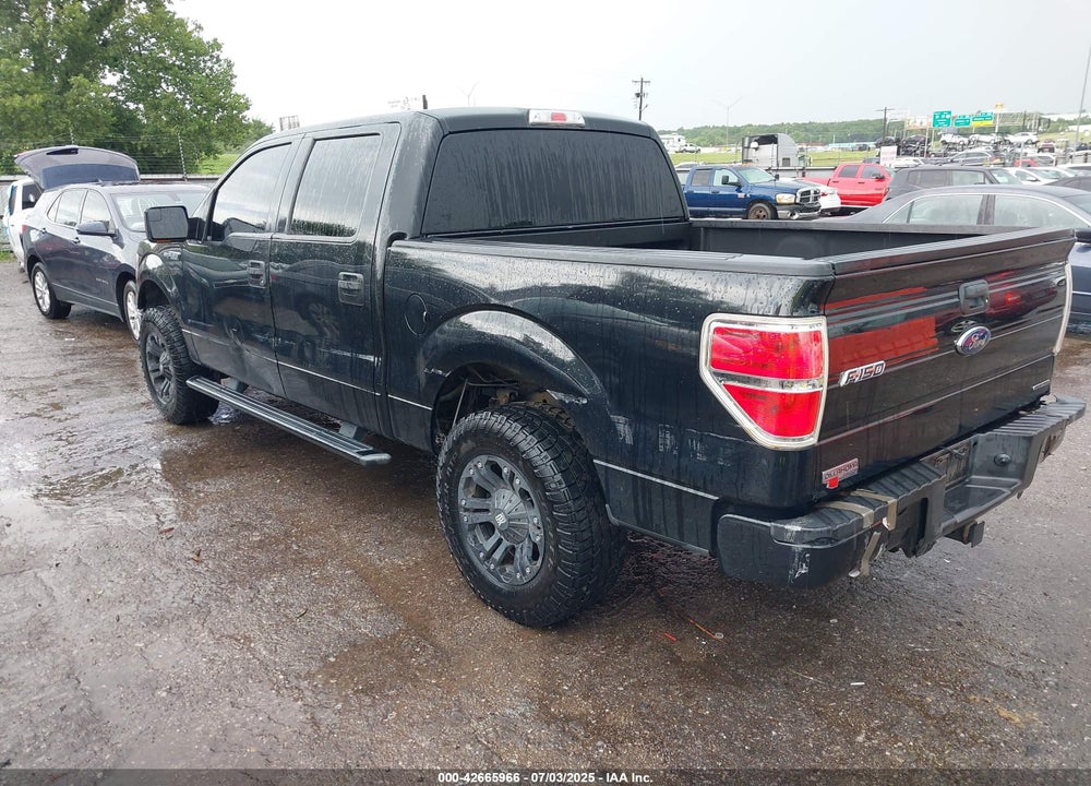 2012 FORD F-150 VIN: 1FTEW1CM4CFC20204