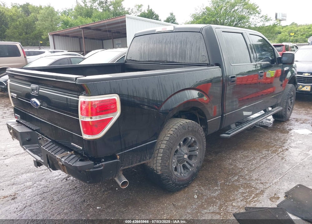 2012 FORD F-150 VIN: 1FTEW1CM4CFC20204
