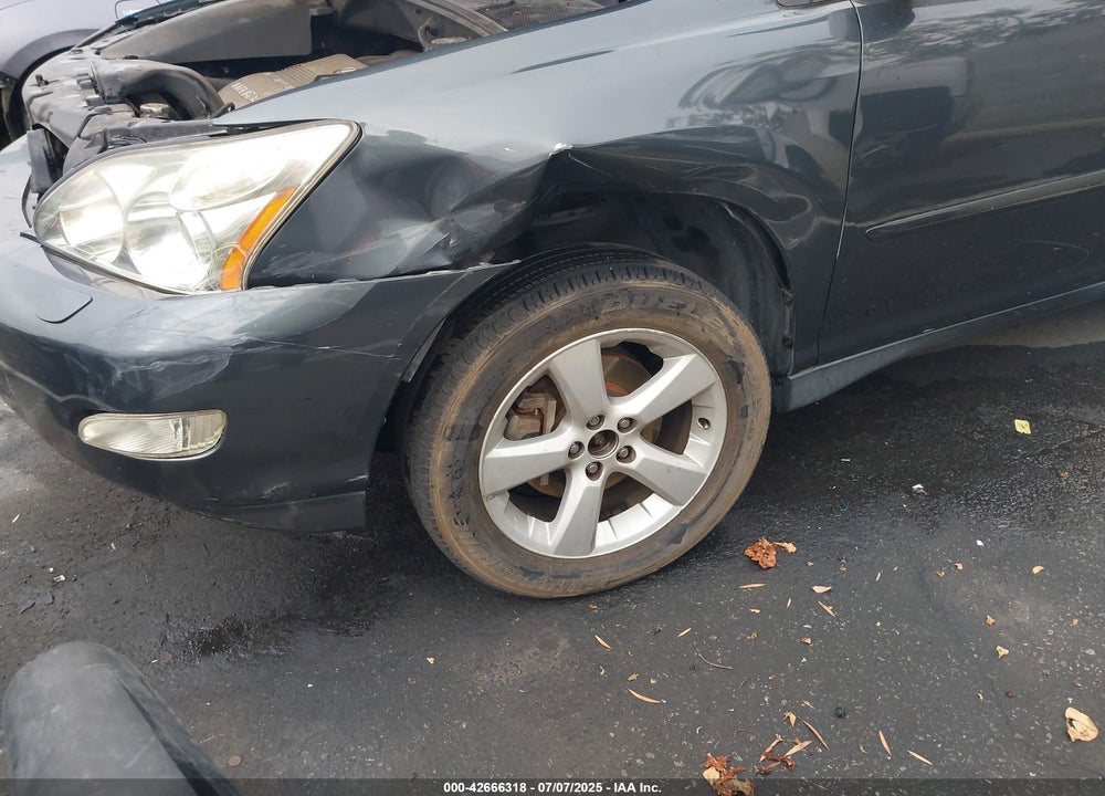 2004 LEXUS RX 330 VIN: JTJHA31U140066577