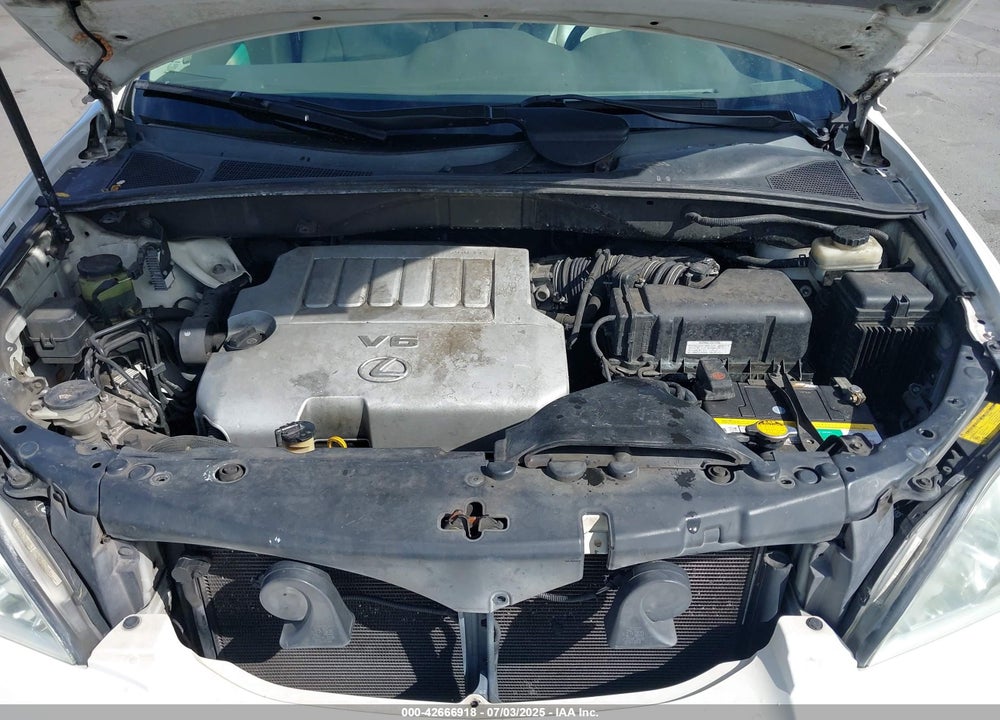 2007 LEXUS RX350 VIN: 2T2GK31U87C008581