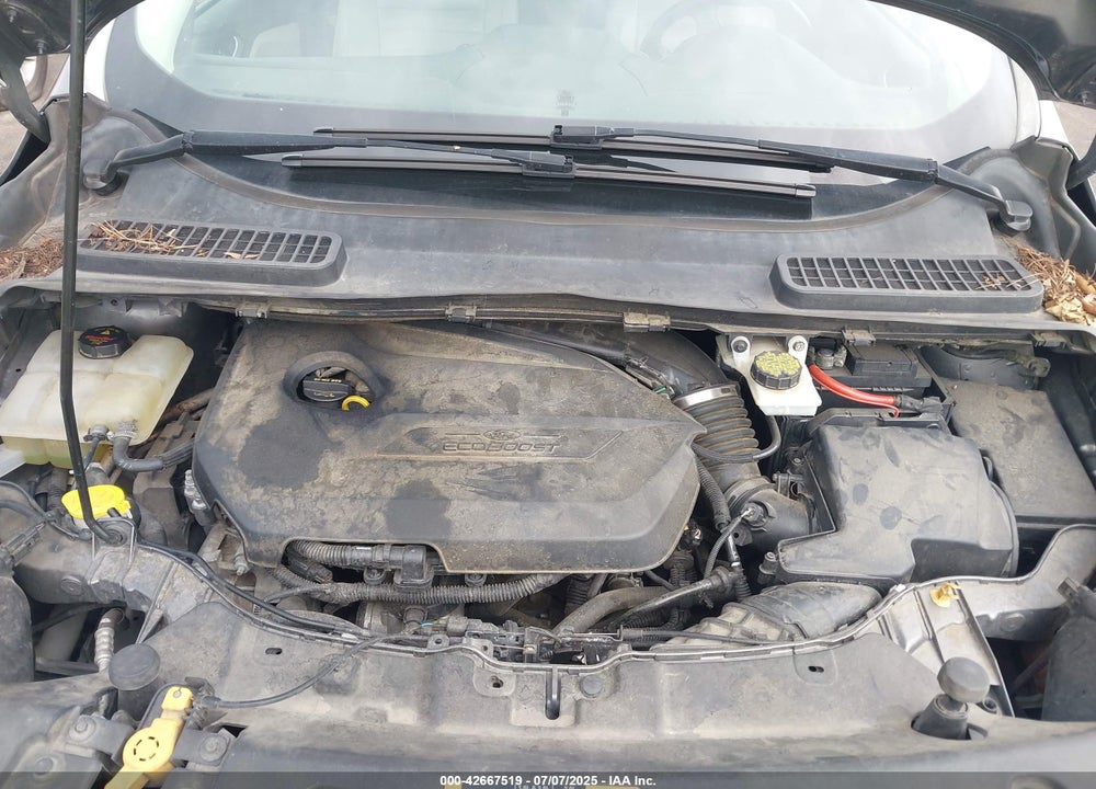 2014 FORD ESCAPE VIN: 1FMCU0JX4EUE32728