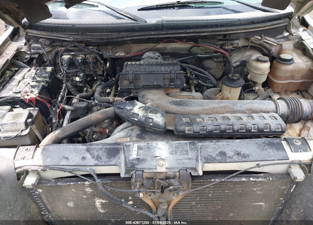2007 FORD F-150 VIN: 1FTPX14V07NA45670