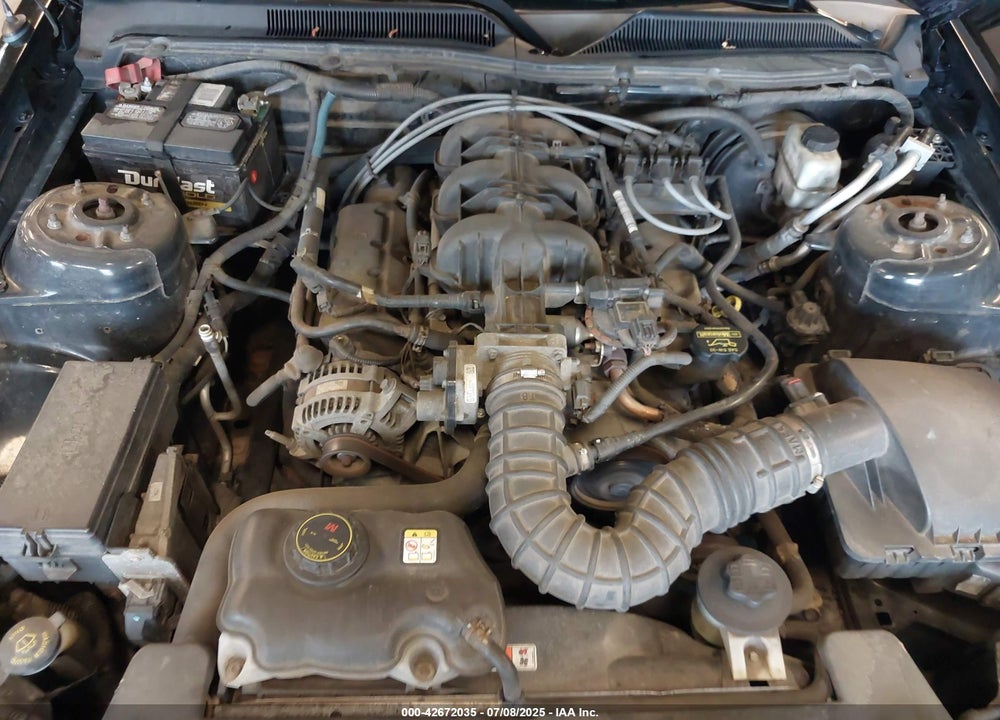 2009 FORD MUSTANG VIN: 1ZVHT80N695142483