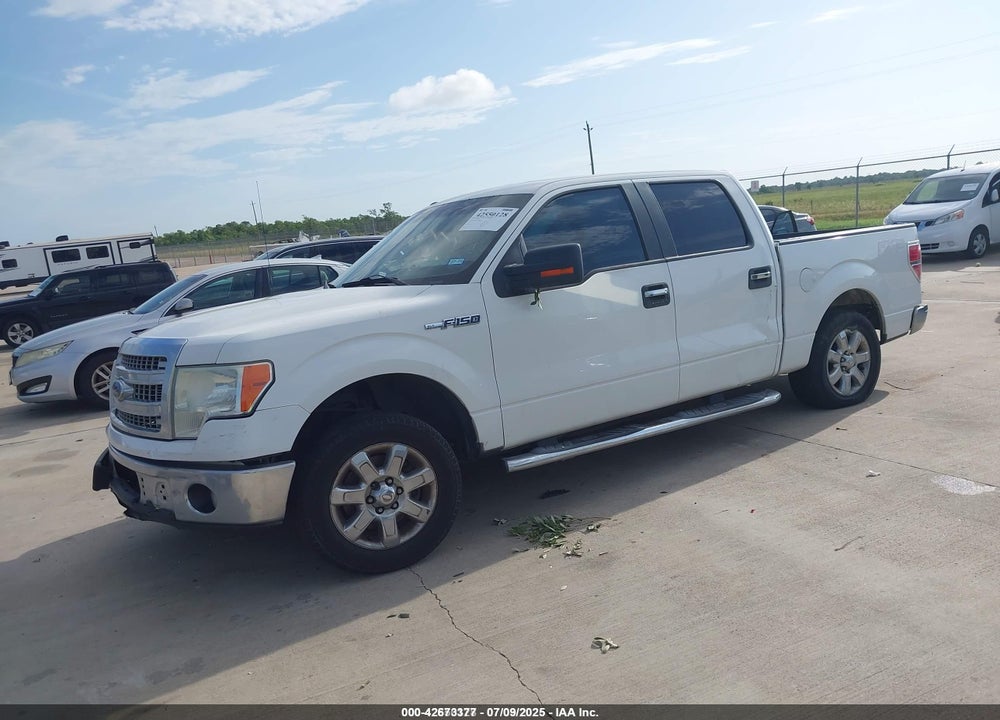 2013 FORD F-150 VIN: 1FTEW1CM3DKD88294