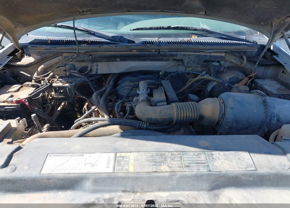 2002 FORD F-150 XL/XLT VIN: 1FTRX07242KA59876