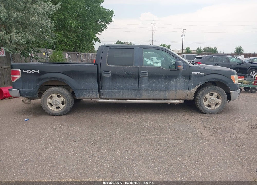 2012 FORD F-150 VIN: 1FTFW1EF1CFA96962