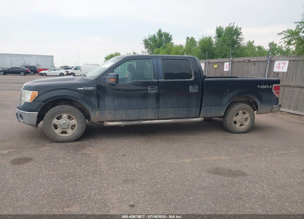 2012 FORD F-150 VIN: 1FTFW1EF1CFA96962