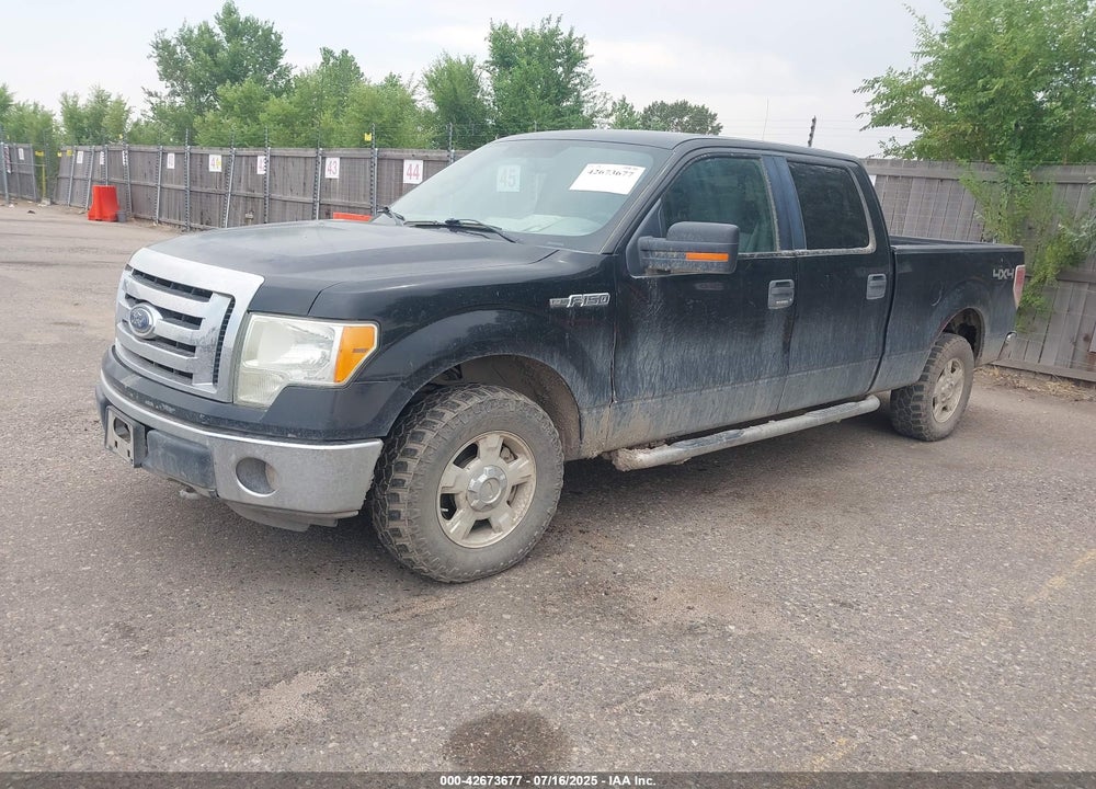 2012 FORD F-150 VIN: 1FTFW1EF1CFA96962