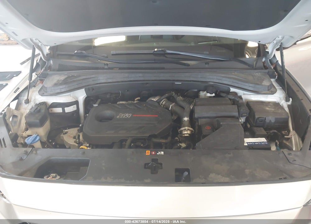 2019 HYUNDAI SANTA FE VIN: 5NMS5CAA9KH112432