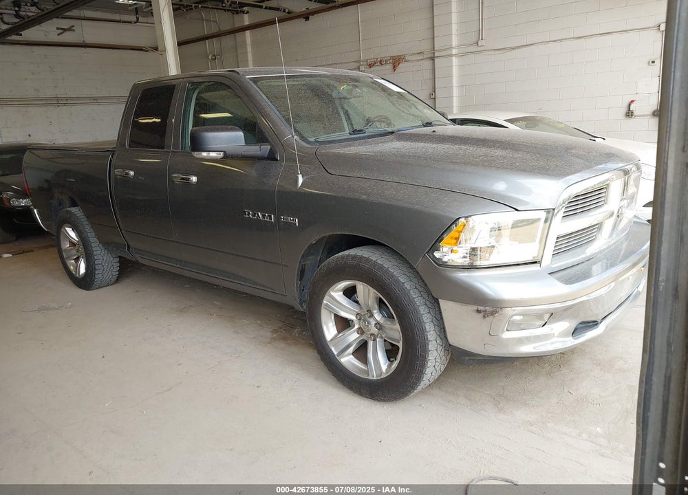 2010 DODGE RAM 1500 SLT/SPORT/TRX VIN: 1D7RV1GT4AS262288