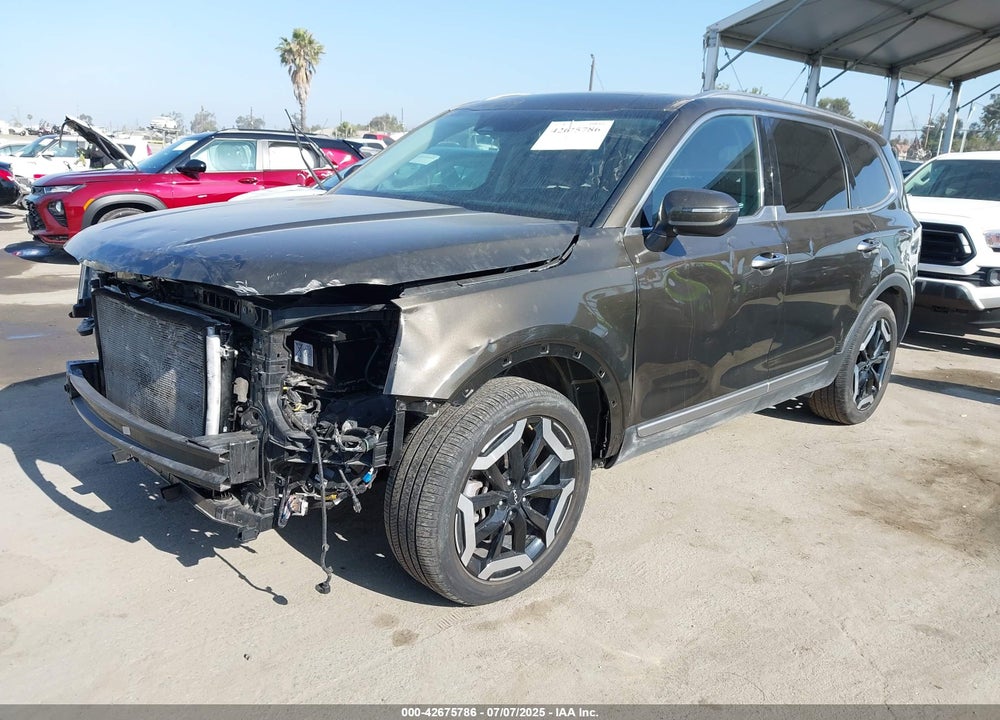 2023 KIA TELLURIDE VIN: 5XYP6DGC3PG359562