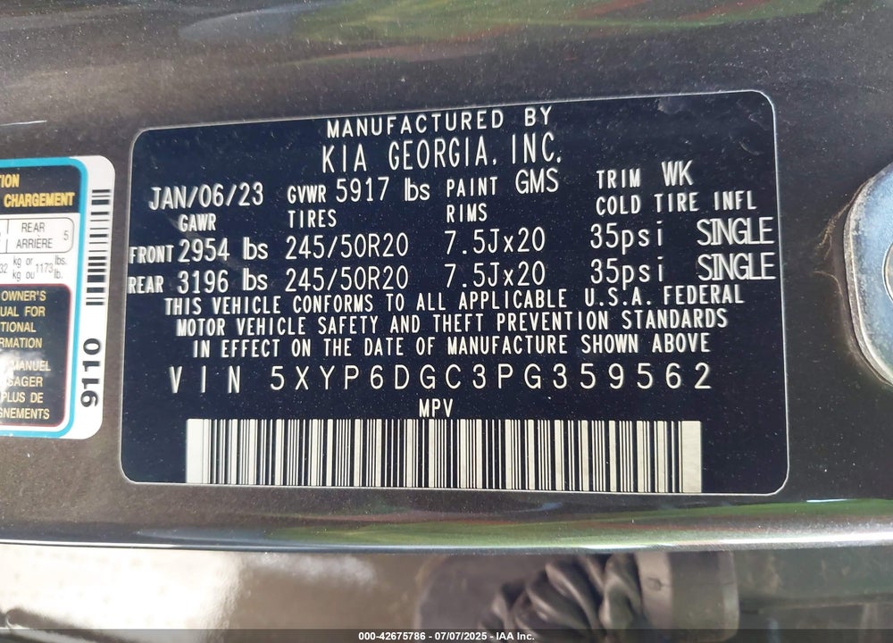 2023 KIA TELLURIDE VIN: 5XYP6DGC3PG359562