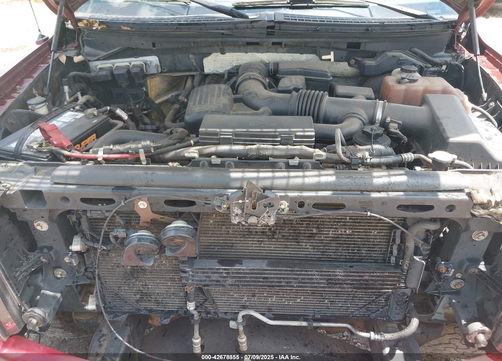 2010 FORD F-150 VIN: 1FTFW1EV2AKA97467