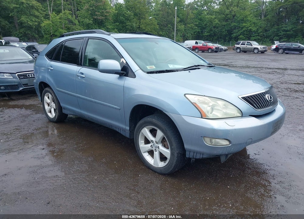 2004 LEXUS RX 330 VIN: JTJHA31U840022236