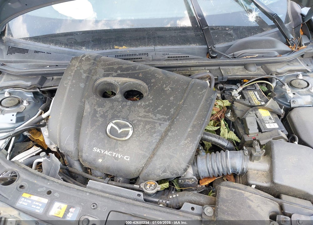 2019 MAZDA 3 PREMIUM PACKAGE VIN: JM1BPANM2K1120384