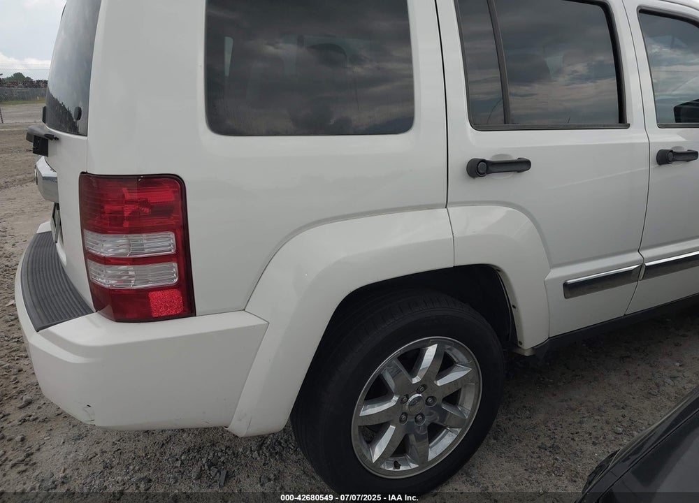 2010 JEEP LIBERTY VIN: 1J4PP5GK6AW156311