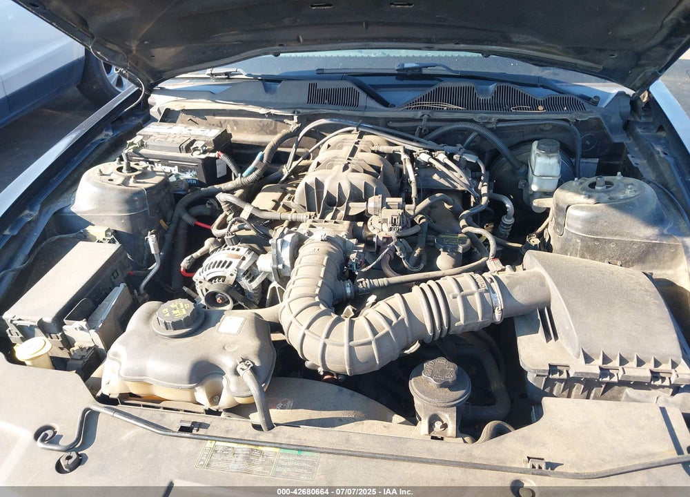 2010 FORD MUSTANG VIN: 1ZVBP8EN3A5174136