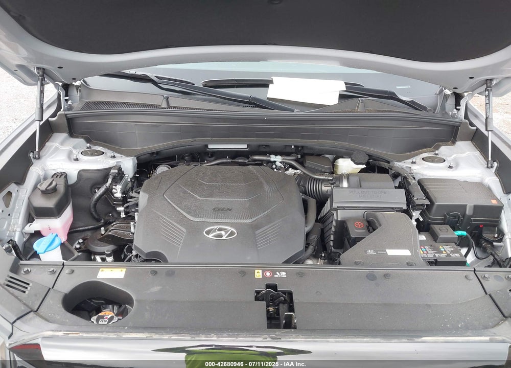 2025 HYUNDAI PALISADE SEL VIN: KM8R24GE2SU869152