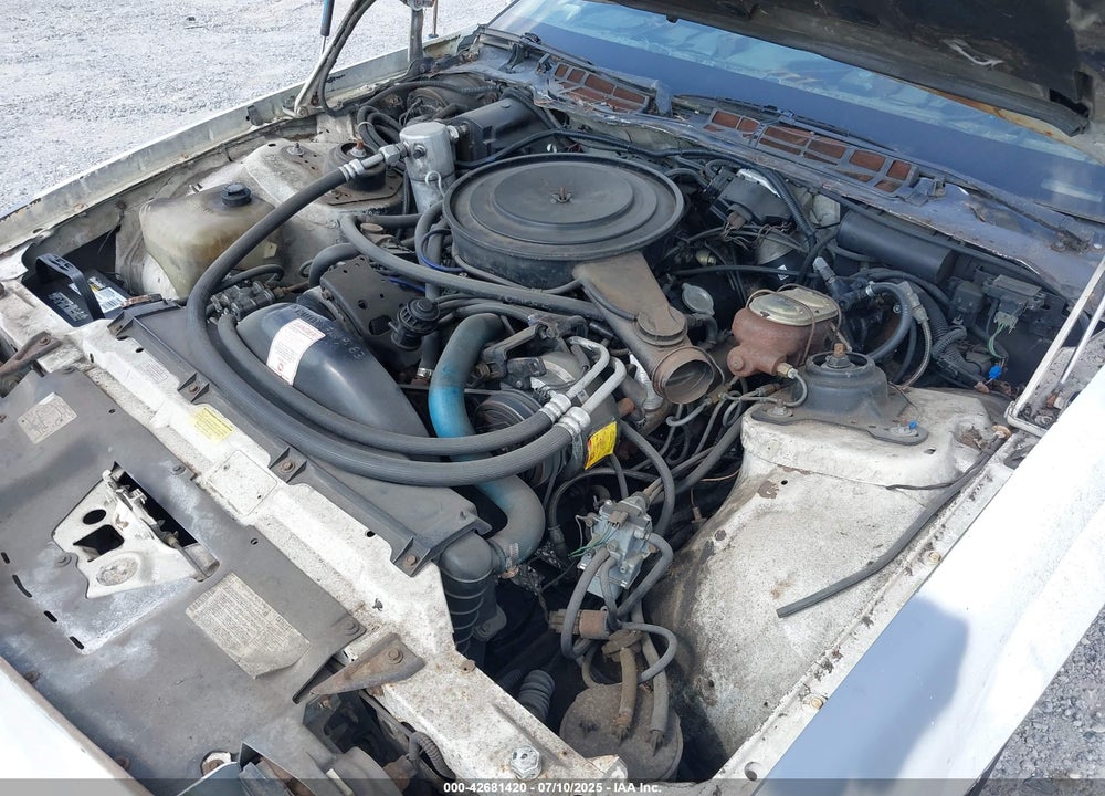 1983 CHEVROLET CAMARO BERLINETTA VIN: 1G1AS87H7DL165002