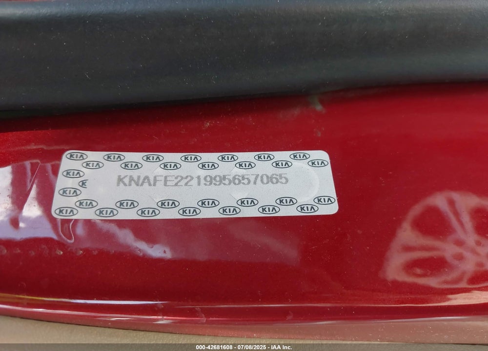 2009 KIA SPECTRA VIN: KNAFE221995657065