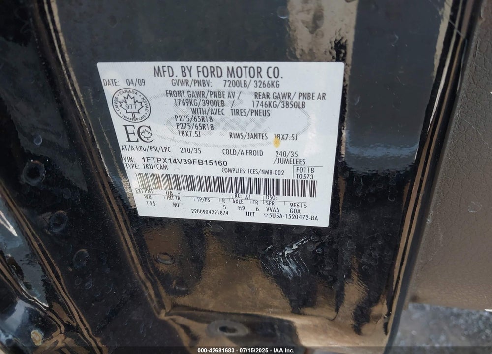 2009 FORD F-150 VIN: 1FTPX14V39FB15160
