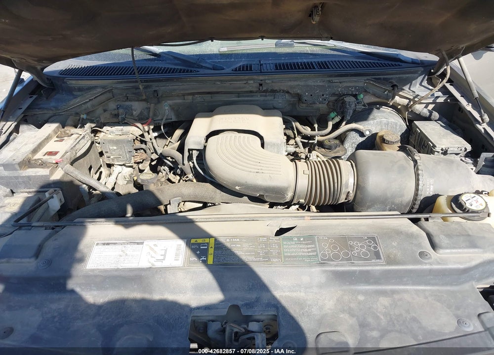 2002 FORD F-150 LARIAT/XL/XLT VIN: 1FTRX17WX2NA97846