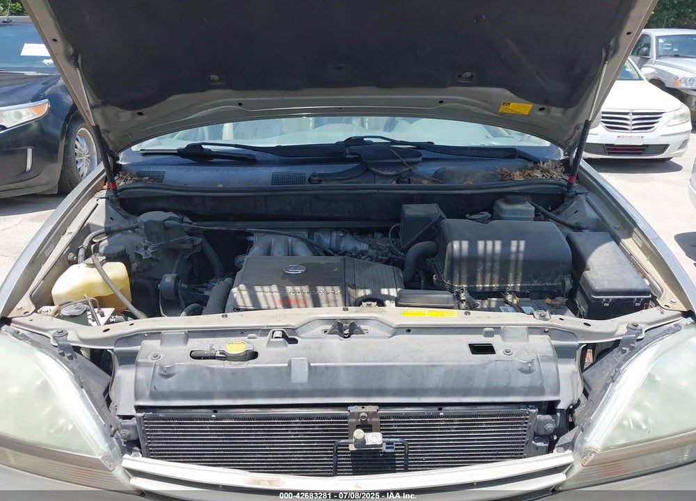 2001 LEXUS RX 300 VIN: JTJGF10U210084035