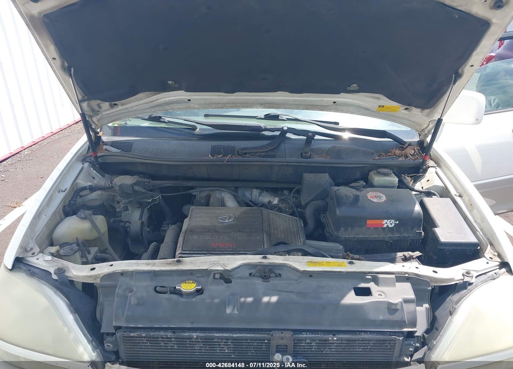 2001 LEXUS RX 300 VIN: JTJGF10U710088436