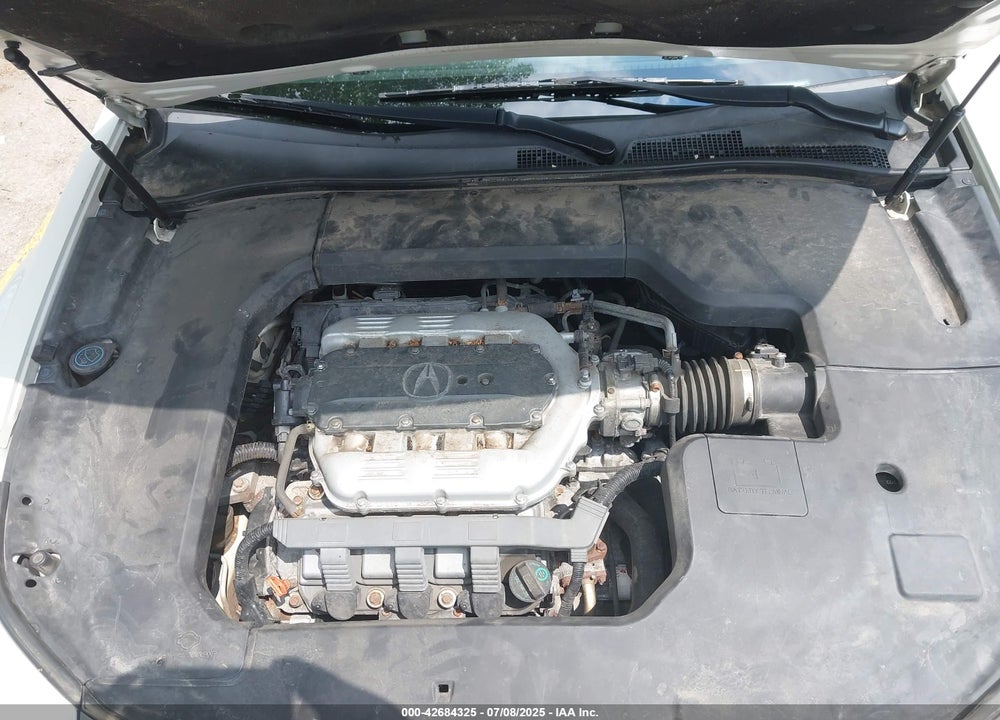 2009 ACURA TL VIN: 19UUA86519A011386
