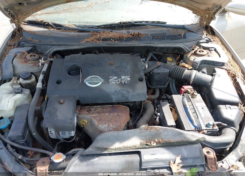 2006 NISSAN ALTIMA VIN: 1N4AL11D06N431491