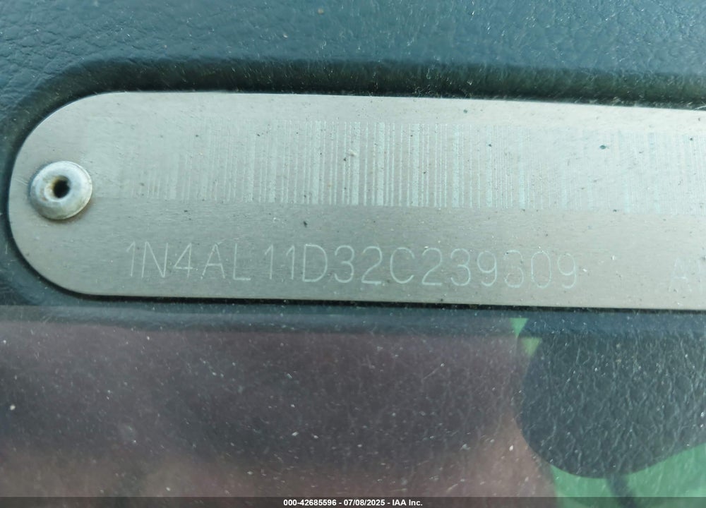2002 NISSAN ALTIMA VIN: 1N4AL11D32C239309