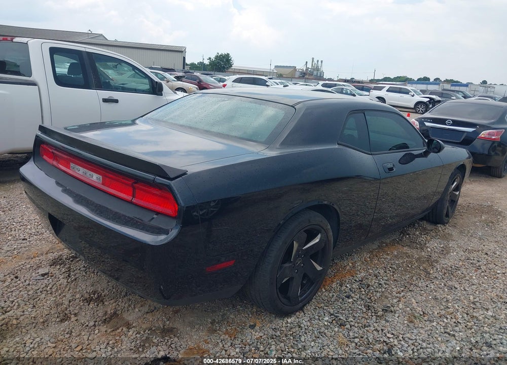 2010 DODGE CHALLENGER VIN: 2B3CJ4DV9AH162845