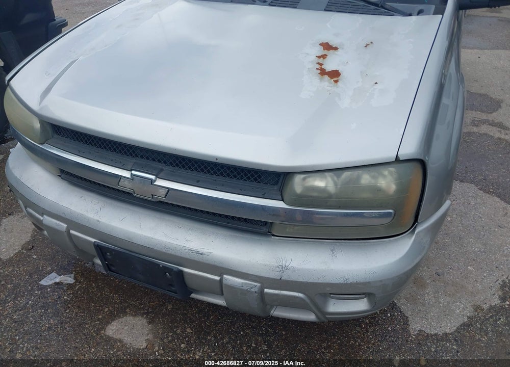 2008 CHEVROLET TRAILBLAZER VIN: 1GNDS13S082109337