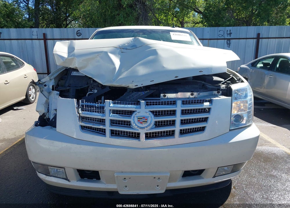 2007 CADILLAC ESCALADE STANDARD VIN: 1GYFK63857R314493