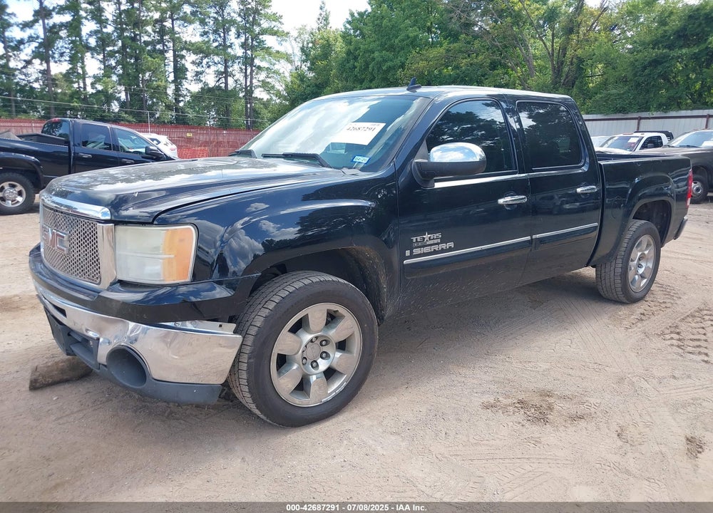 2009 GMC SIERRA 1500 VIN: 3GTEC23J19G251082