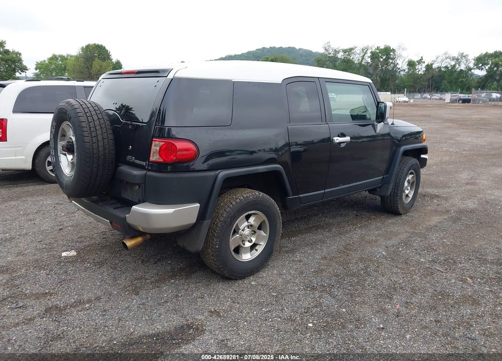 2010 TOYOTA FJ CRUISER VIN: JTEBU4BF6AK086437