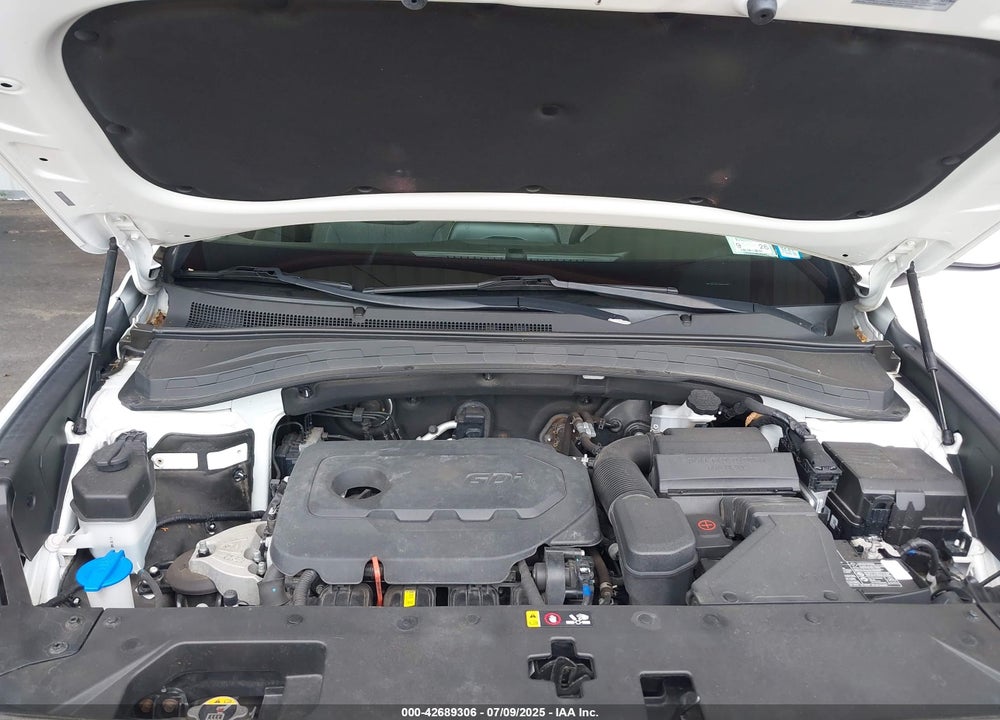 2019 HYUNDAI SANTA FE VIN: 5NMS2CAD2KH116731