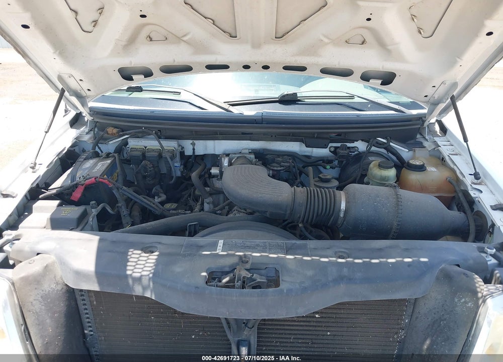 2006 FORD F-150 STX/XL/XLT VIN: 1FTRX12WX6NA43766