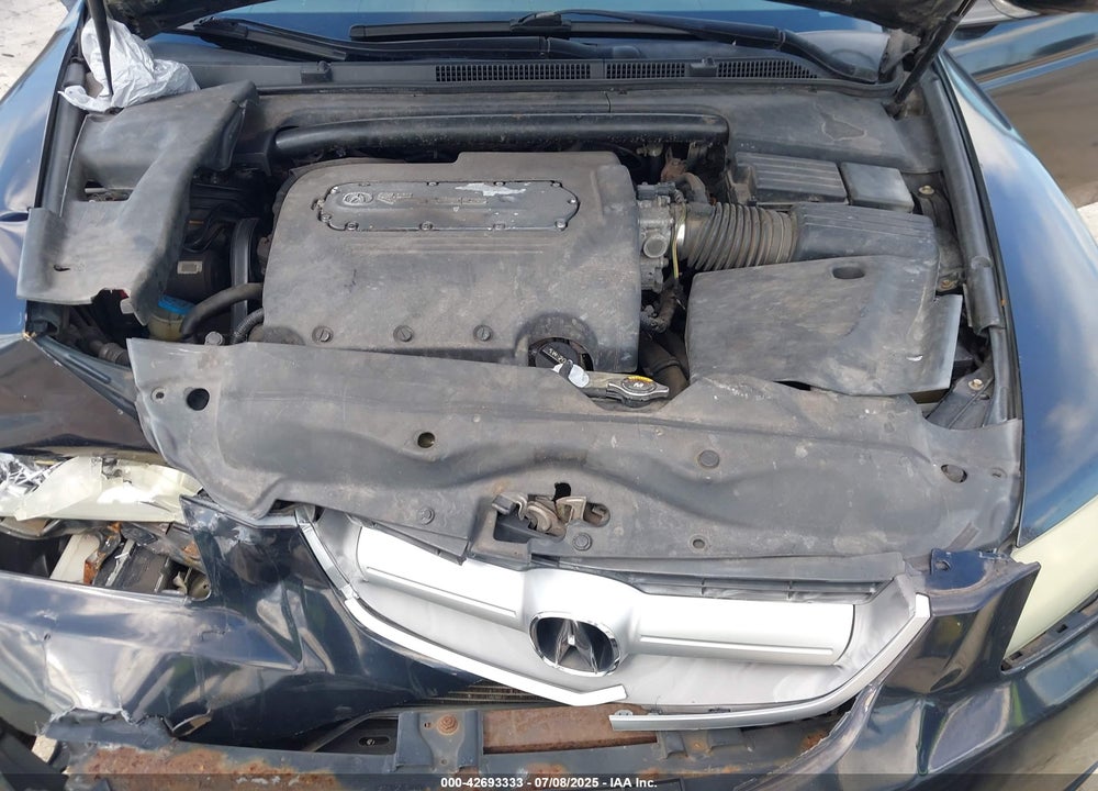 2004 ACURA TL VIN: 19UUA66244A058642