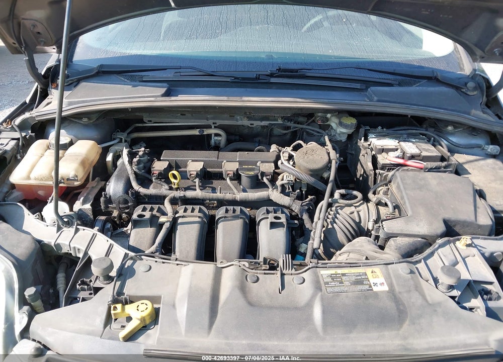 2013 FORD FOCUS VIN: 1FADP3F24DL269491
