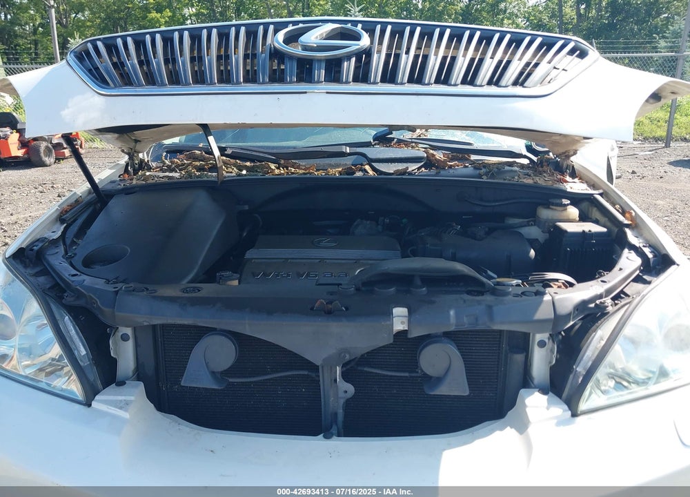 2004 LEXUS RX 330 VIN: JTJHA31U240036746
