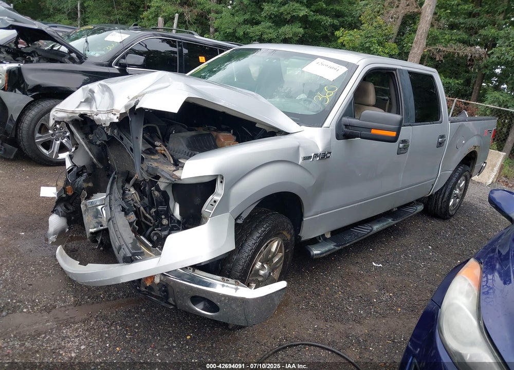2010 FORD F-150 VIN: 1FTFW1E84AFB31766