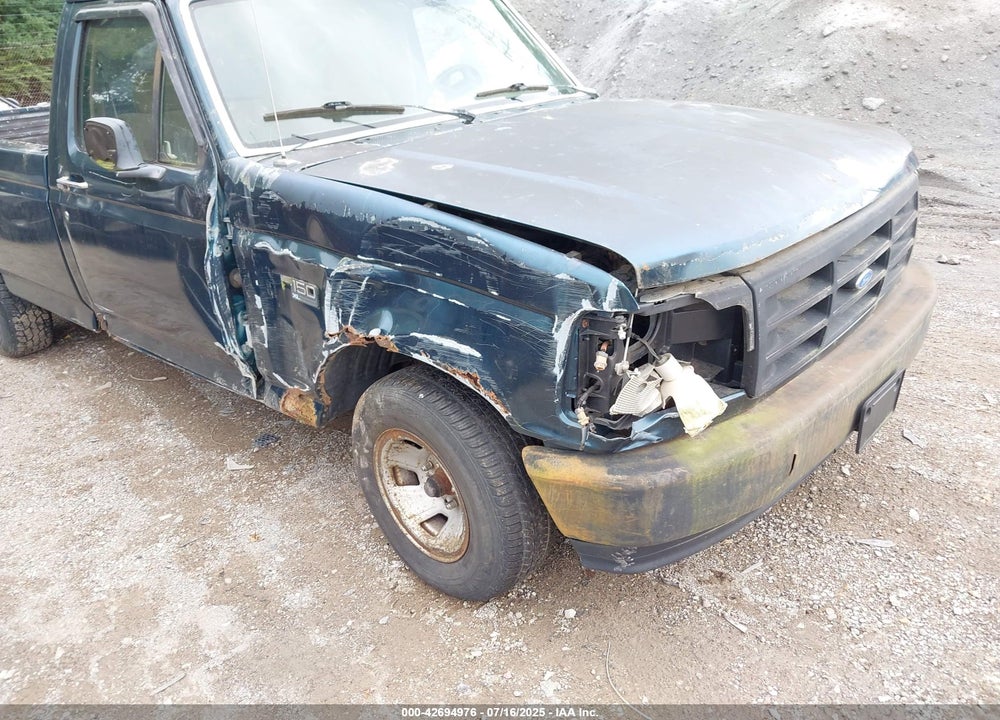 1994 FORD F150 VIN: 1FTEF15N2RLA48206